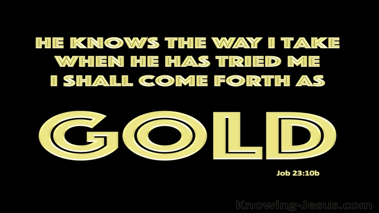 Job 23:10b He Knows The Way I Take (black)